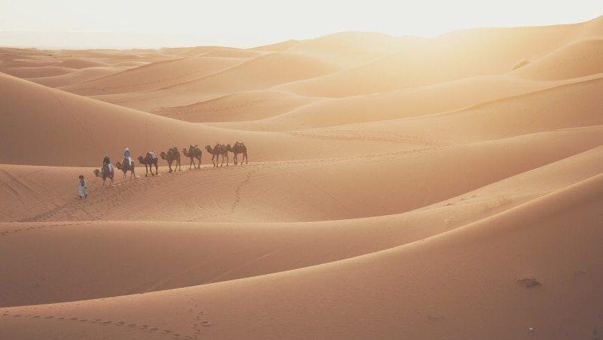 Jaisalmer honeymoon desert tour