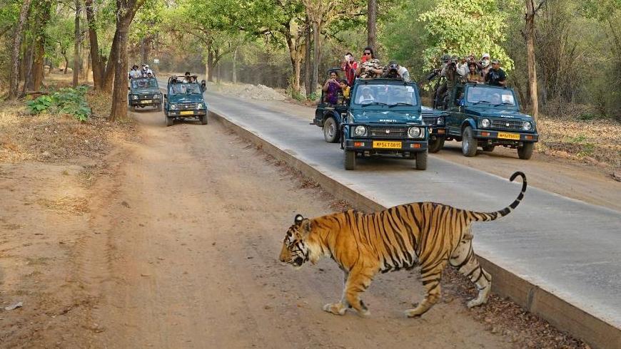 Rajasthan wildlife tour